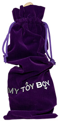My Toy Boy Velvet Bag